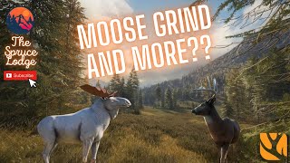 Moose Grind for Rares and DIAMONDS | TheHunter Call of the Wild