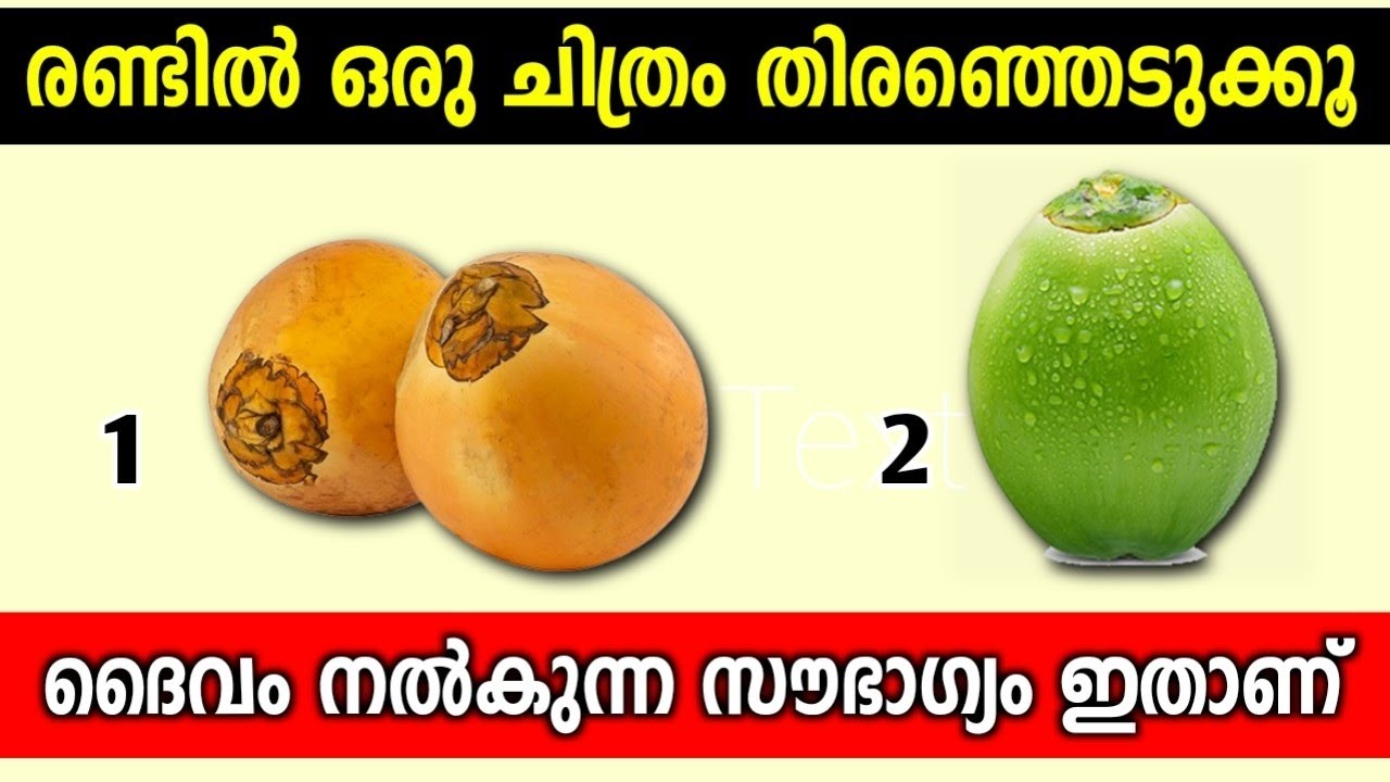 ആഗ്രഹിച്ച കാര്യങ്ങൾ ഉടൻ ലഭിക്കുമോ !? അറിയാം ഭഗവാൻ നിങ്ങൾക്ക് കരുതി വെച്ചത് thodukuri