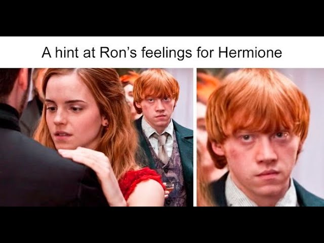 Harry Potter Memes Part 4 