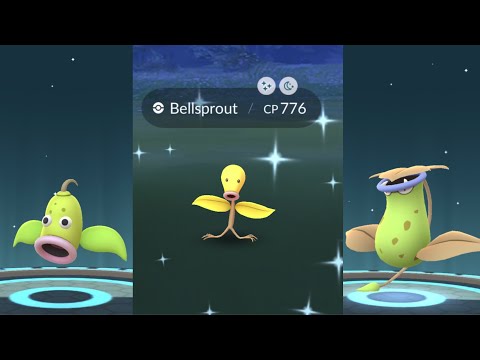 Video Bellsprout Video Bellsprout