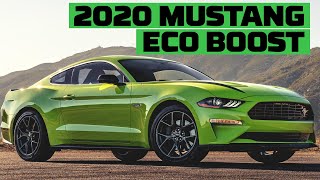 2020 Ford Mustang EcoBoost on the Track! | Tire Rack's Hot Lap | MotorTrend