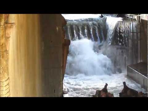 River Quest - Phantasialand - Onride/Offride