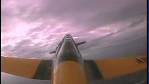 Warbird Adventures North American SNJ-6 N453WA Part 3