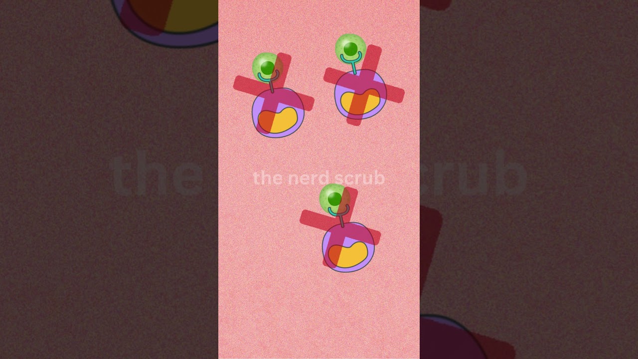 IMMUNOLOGICAL TOLERANCE| CENTRAL TOLERANCE| Self| Non self Antigens 