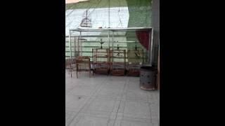 WP 20140329 0021