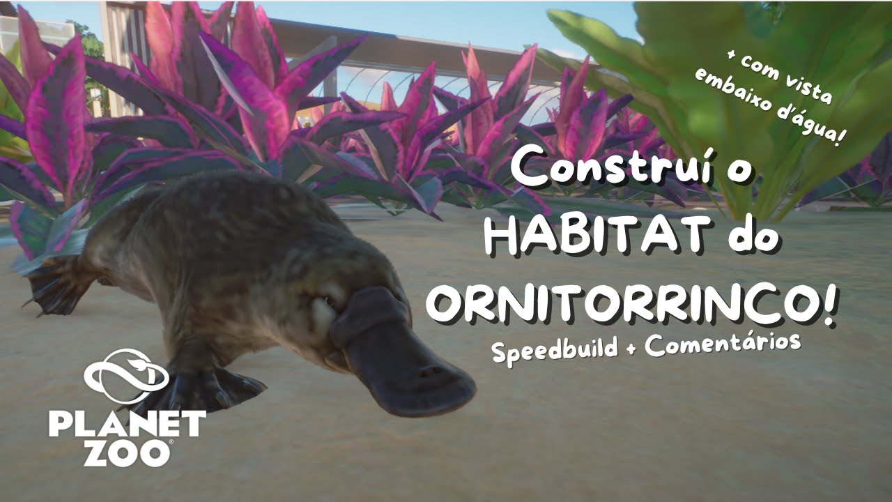 Oni? Orni? ORNITORRINCO é POPULAR! Planet Zoo Gameplay PT BR 2025| Speedbuild | EP 5 | Zoo Aquático
