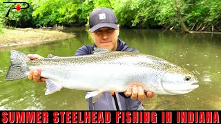 Summer Steelhead Fishing in Indiana