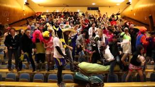 Do The HARLEM SHAKE-HARVARD