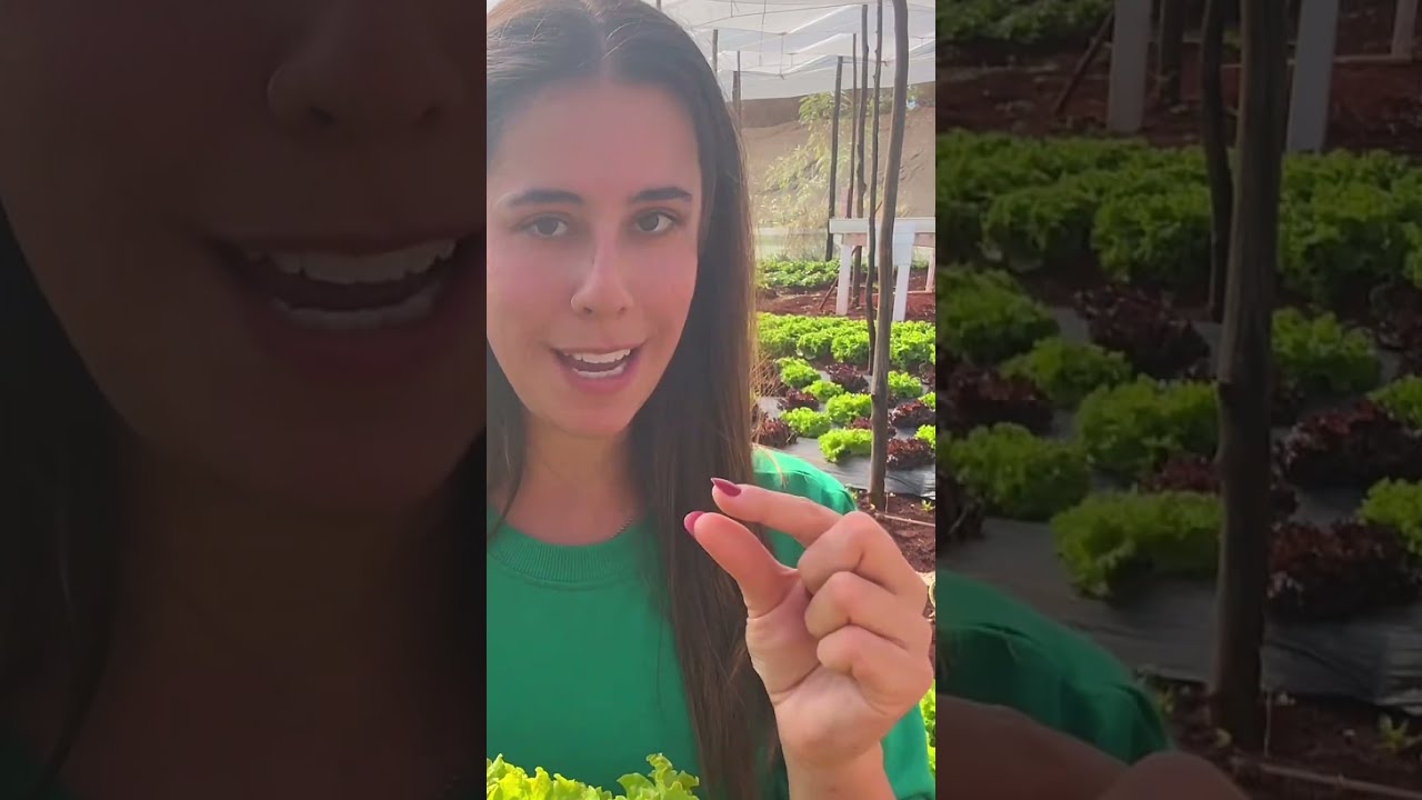 You Can Eat Your Lettuce In Peace 
