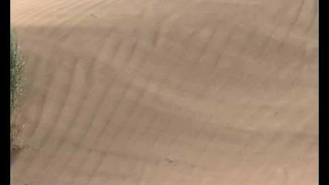 Qual è il deserto più freddo del mondo?
