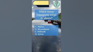 Cells and tissues in plants | A Doc Hill Revision Quiz