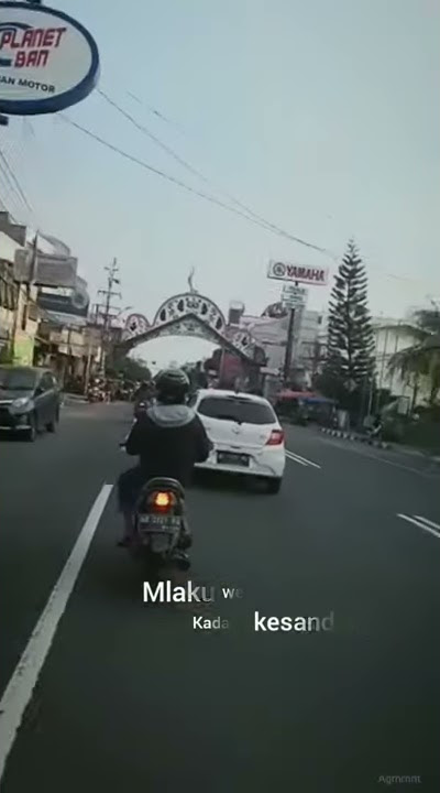 Story WA Wong Sepele -  (Ndarboy Genk) Cover Woro Widowati