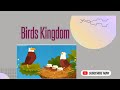 Birds kingdom  kids science  kids learning  kids games  curious kids 