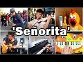 Who Played it Better: Señorita (Street Sax, Violin, Piano, Chicken, Cat Piano, Guitar)