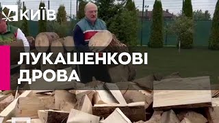 Лукашенко взявся колоти дрова, щоб 
