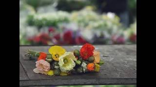 Tilia - Al Forsan Village Townsquare