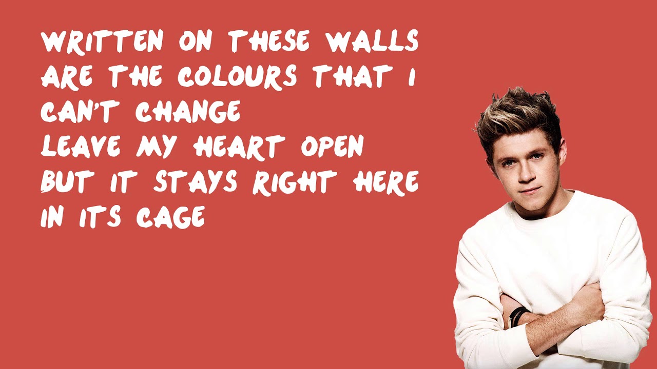 Story of My Life - One Direction (Lyrics)