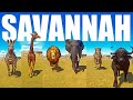 Savannah Animals speed Races in Planet Zoo included Elephant, Lion , Buffalo, Zebra
