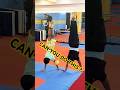 Amazing Handstand Variations 🤸‍♂️ | Balance &amp; Strength Training #balancefitness #workoutmotivation