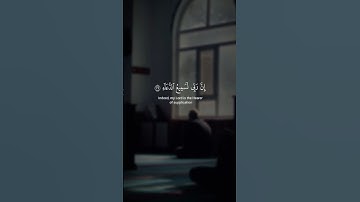 سورة إبراهيم محمد صديق المنشاوي #المنشاوي 🖤🎧 #قرآن #قران_كريم #المصحف #راحة_نفسية #تلاوة_هادئة