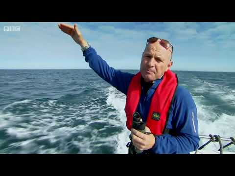 Superpod of Dolphins off the coast of Pembrokeshire (The One Show, BBC One, 20/11/2016)