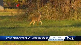 Deadly deer disease could be linked to hunter deaths, study finds