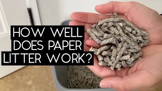 RECYCLED PAPER LITTER REVIEW | SVEN AND ROBBIE