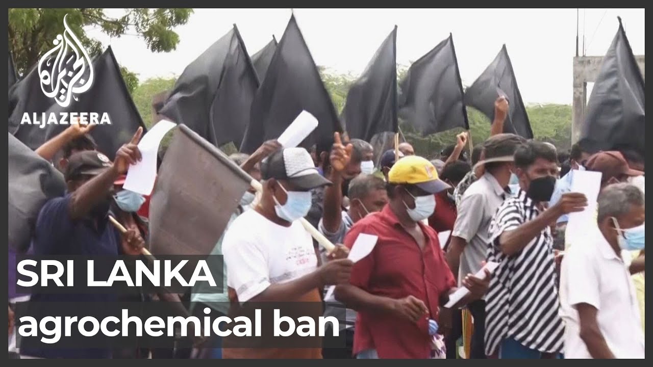 Sri Lanka farmers protest over ban causing fertiliser shortage