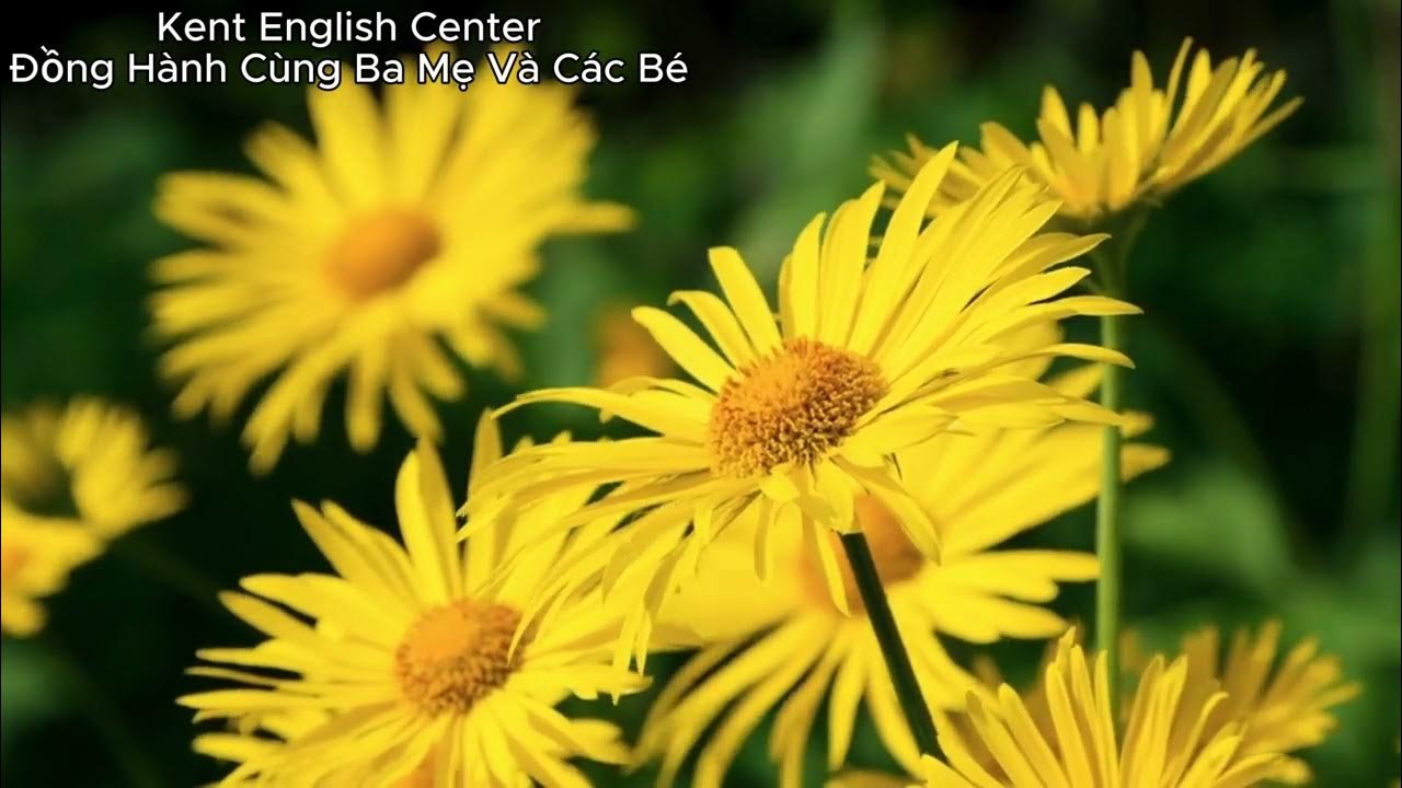 TOPIC_47 SEWING MACHINE KENT ENGLISH CENTER YouTube