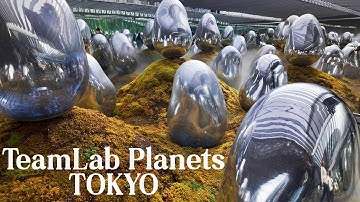 TeamLab Planets Tokyo: A Surreal Art Experience in Toyosu