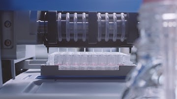 Speed and Versatility