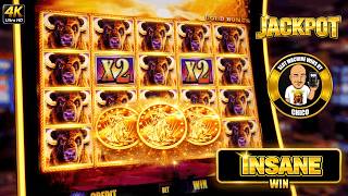 This Buffalo Gold Slot Paid Me An Insane Jackpot Win