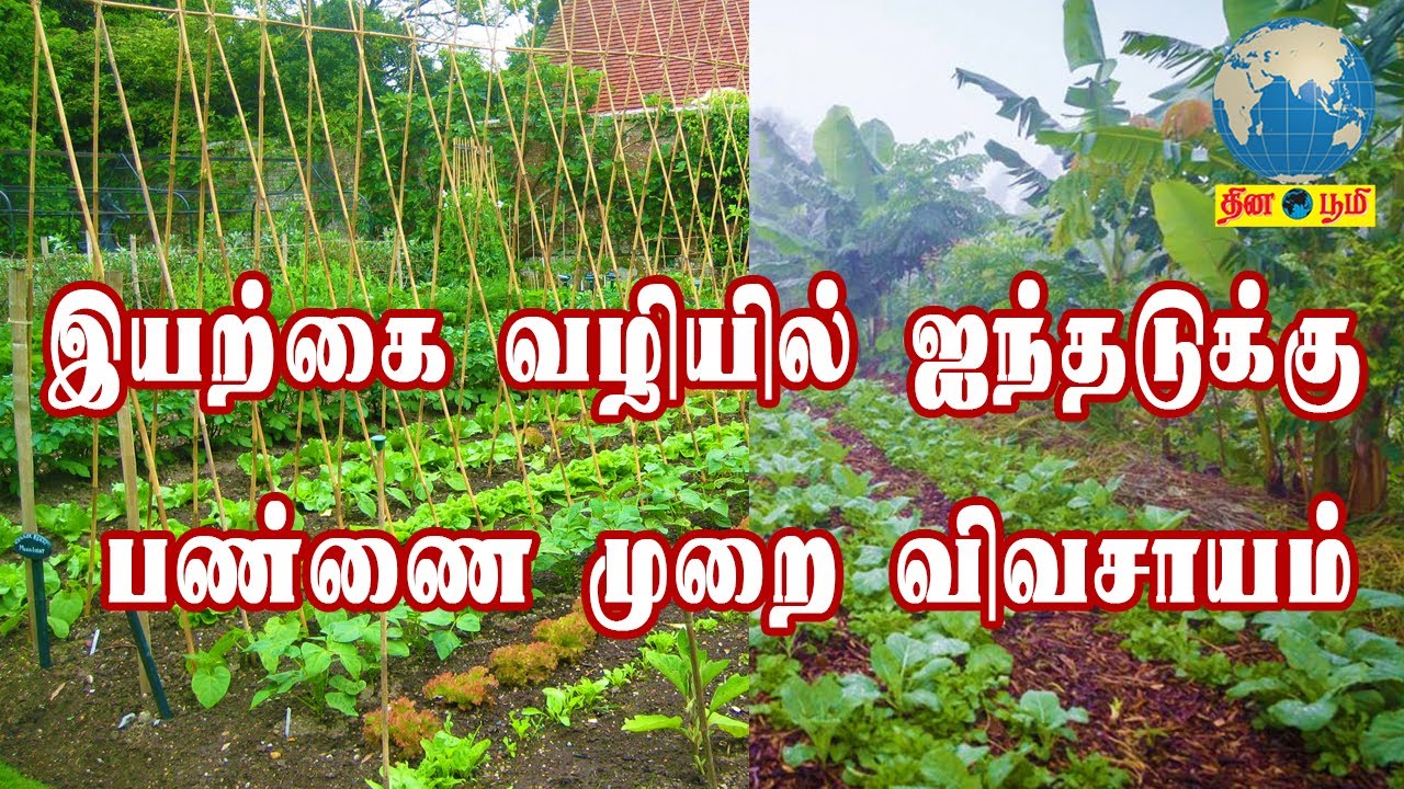 இயற்கை வழியில் ஐந்தடுக்கு பண்ணை முறை விவசாயம்