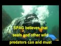 Seal protection action group