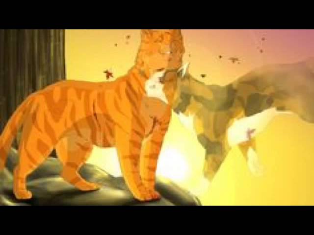 Warrior Cats - Firestar by Fox-Desert ~ Spottedstar