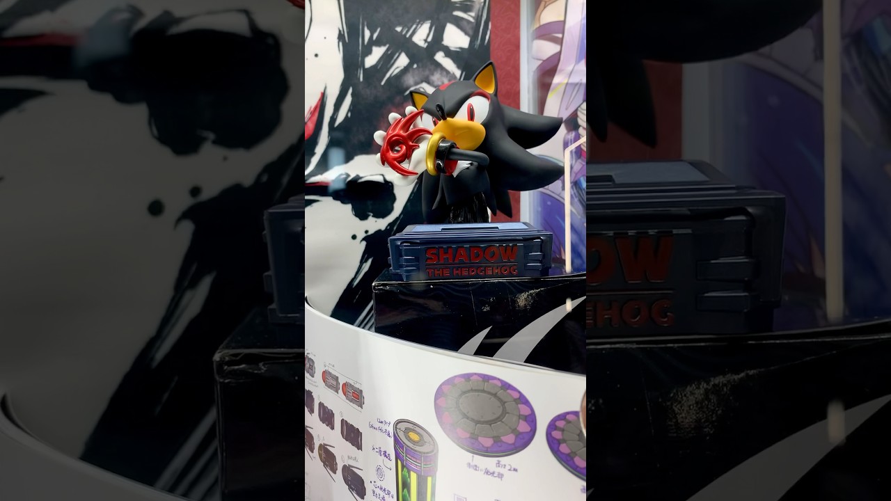 Exhibit of merchandise for the new 