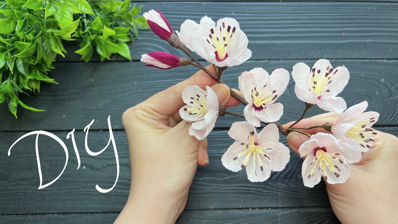 Crepe Paper Sakura Decorations How to make Cherry Blossoms! YouTube