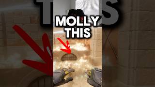 Most Useful Molly in CS2