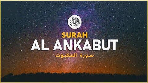 ما أجملها تلاوه ترق لهـا القلوب | شريـف مصطفى 🌙