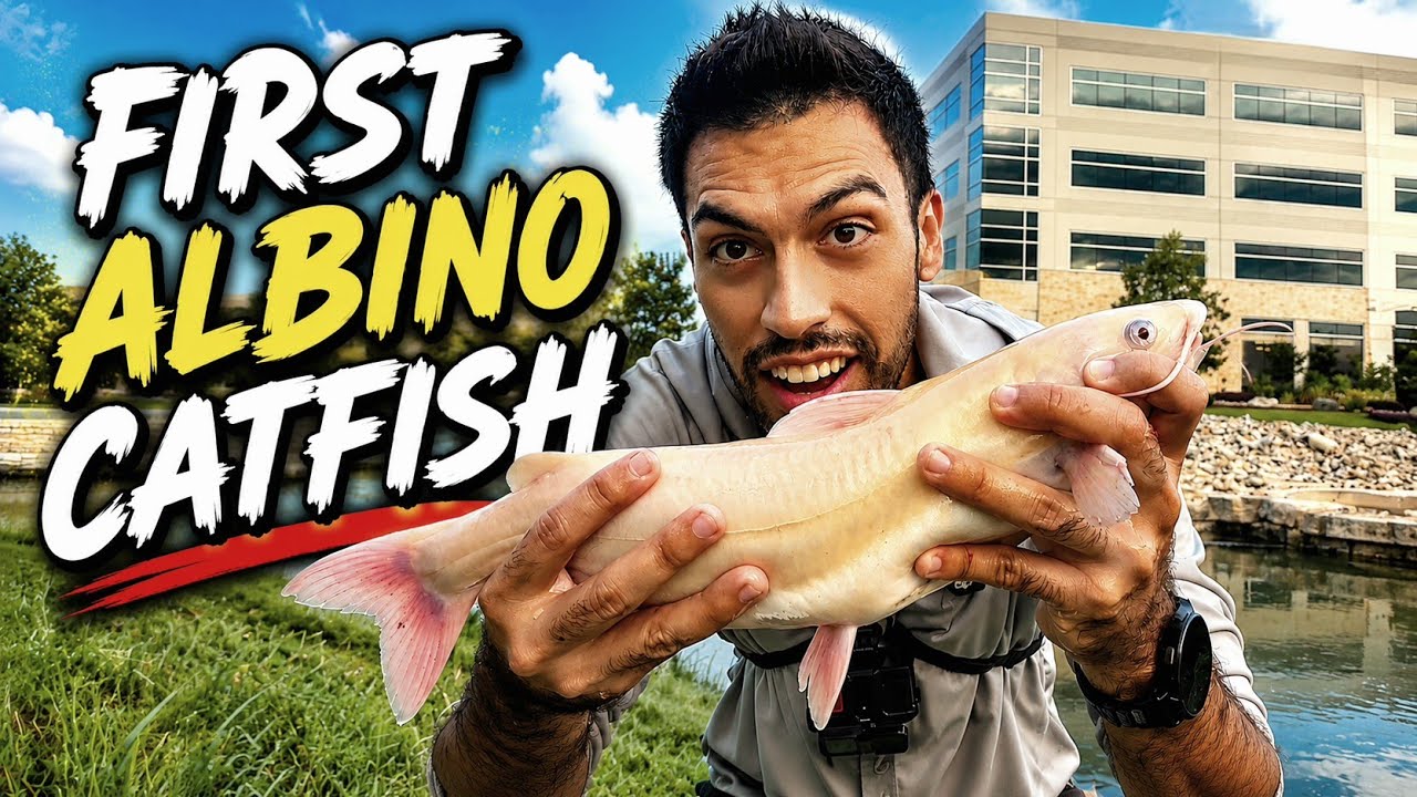 Caught a RARE ALBINO Catfish and Trying Out My New Rod!