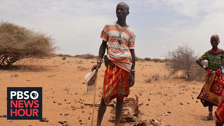 Kenya's worst drought in decades creates humanitarian crisis