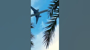 Thumbnail of Flight fly #song #bollywood #love #shortsfeed #viral