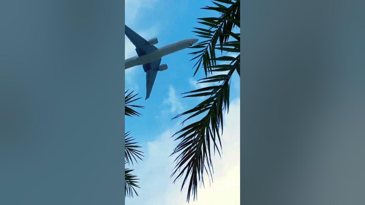 Flight fly #song #bollywood #love #shortsfeed #viral