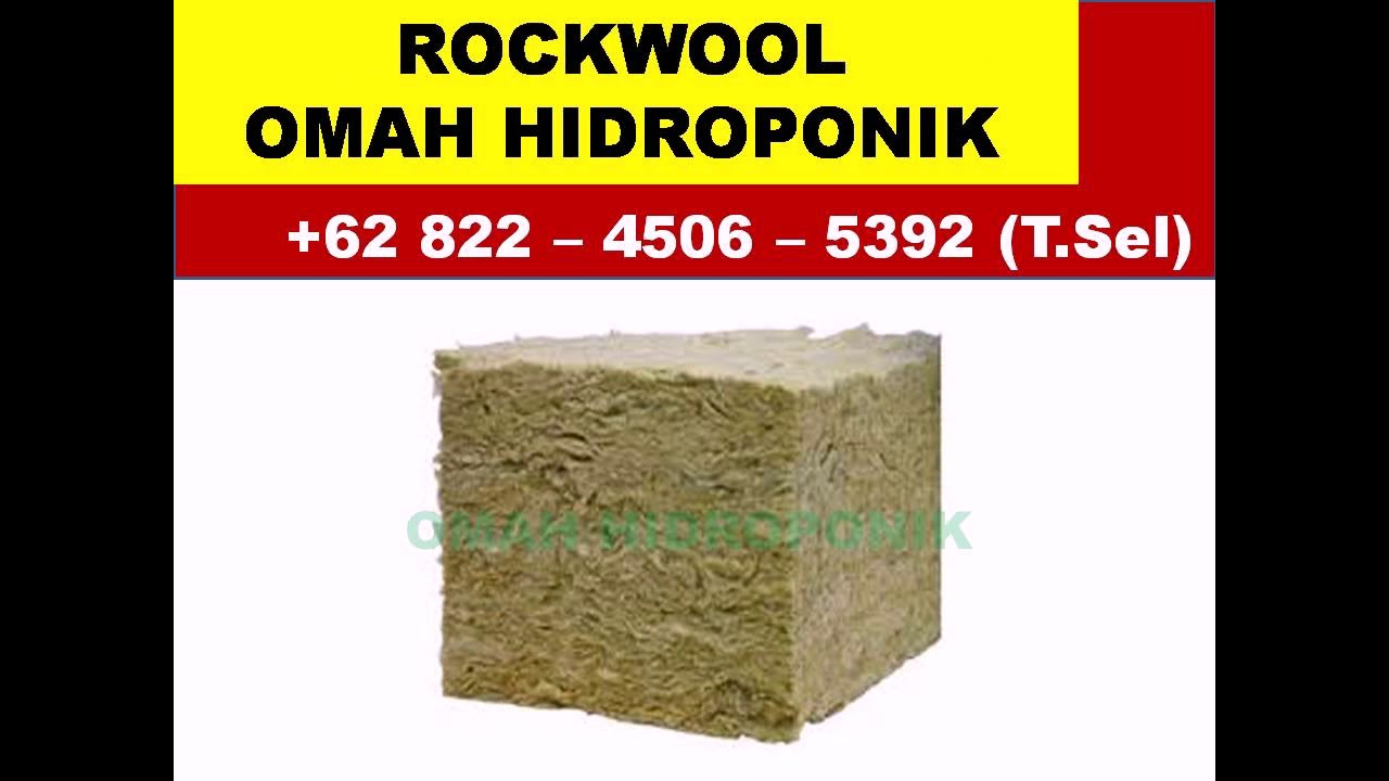 62 822 4506 5392 Tsel Jual Rockwool iHidroponik Jombangi 62 822 4506 5392 Tsel Jual Rockwool iHidroponik Jombangi