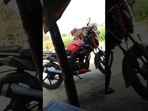 #Tvs #Rider 125cc
