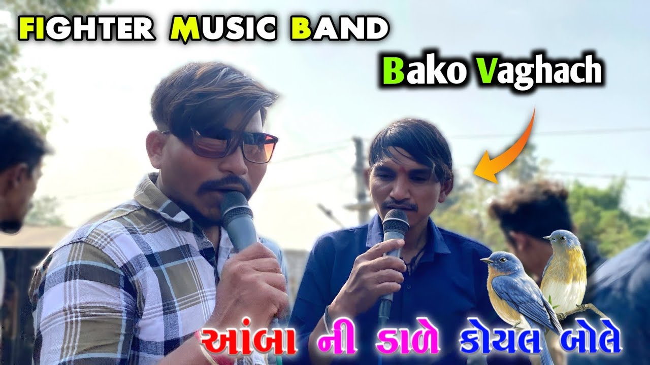 Bako Vaghach આંબા ની ડાળે કોયલ બોલે || Fighter Music Band || At-Dhamshiya