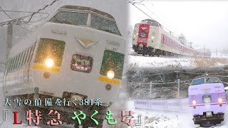 大雪の伯備線を行く381系 特急やくも号【Full HD】#381系 #伯備線 #jr西日本 #やくも