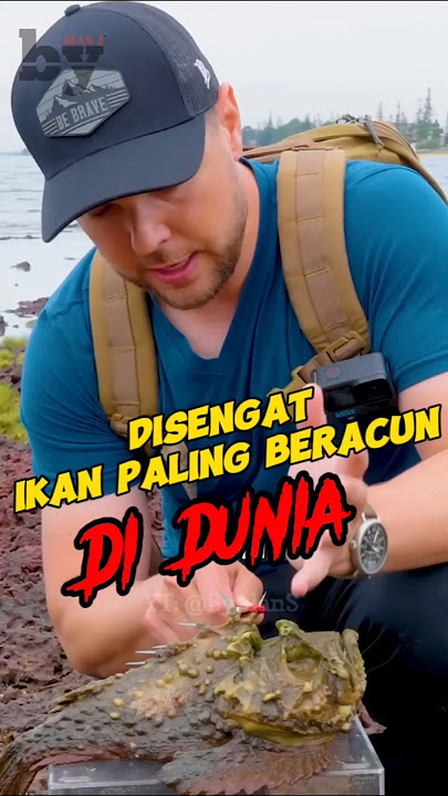 Sengatan Ikan Paling Beracun Di Dunia 🔥 | #shorts #shortvideo