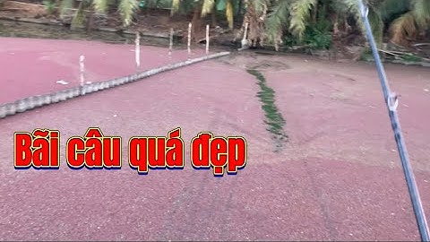 Câu cá lóc | điểm câu quá đẹp | rong chơi miền tây #fishing #lurecaloc #sonrau