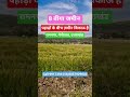 पहाड़ों के बीच 8 बीगा जमीन बिकाऊ है रामनगर, उत्तराखंड नैनीताल #uttarakhand #landforsale #ramnagar